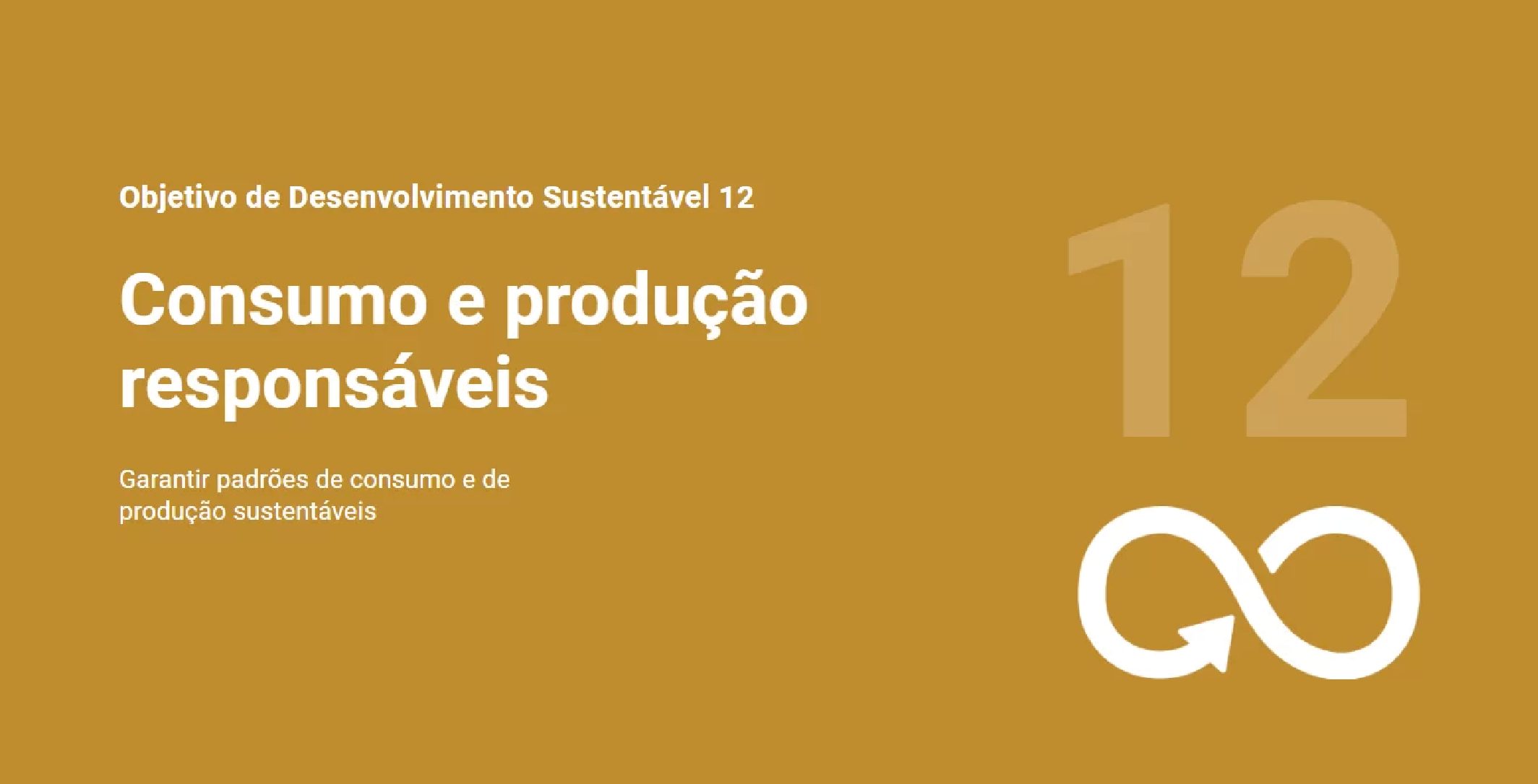 ODS12 Produção e consumo responsáveis Impact Hub Belo Horizonte